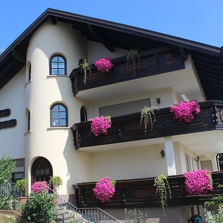 Pension Haus Erika Stadtprozelten Exterior foto