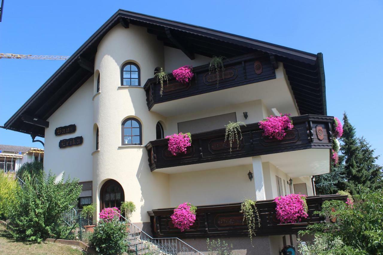Pension Haus Erika Stadtprozelten Exterior foto
